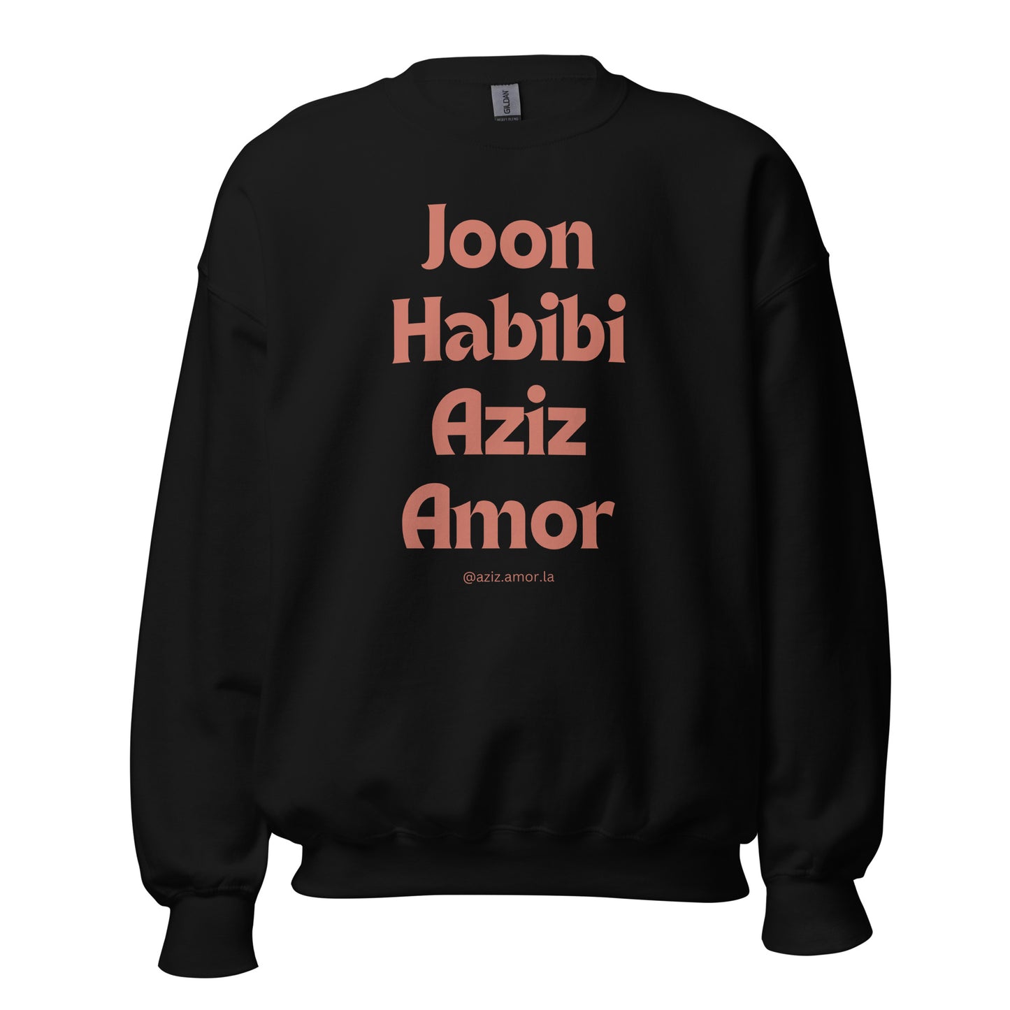 Joon Habibi Unisex Sweatshirt