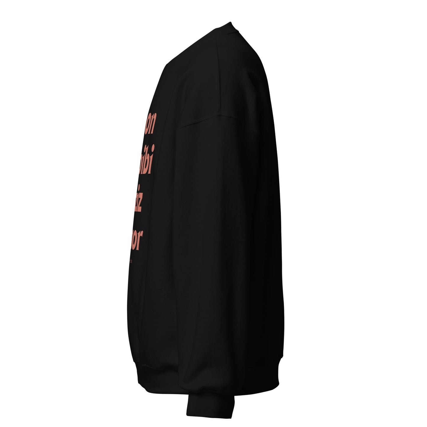 Joon Habibi Unisex Sweatshirt