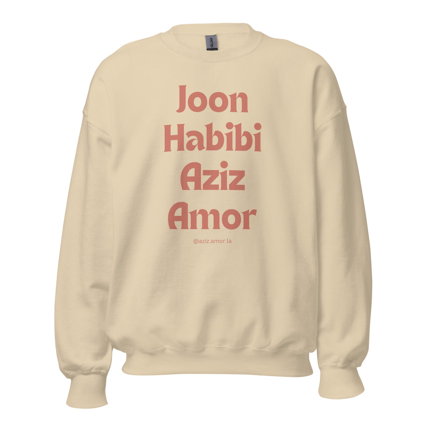 Joon Habibi Unisex Sweatshirt